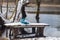 Flooding in early spring. Garbage in a bag in the woods. Flooded table with benches near the pond