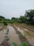 The Flooding Field In The Village