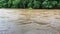 Flooding in forest during the rainy season.