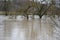 Flooding of the Neckar River near Altenburg