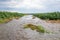 Flooding rain water flowing through soybean field waterway.