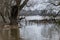 Flooding river creek after a flood water with a fallen tree shows the forces of nature and the need for insurance against dangerou