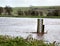 Flooding River. High Water Level Marker Gauge