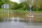 Flooding of a street near Erpfingen