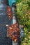 Flooding threat, fall leaves clogging a storm drain, street, curb, garden, yard waste container