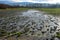 Flooding water on field