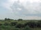 The floodplain of the Berezina River. Summer. August. Gulf meadows and forest