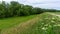 Floodplain forest along the Kettos-Koros river, Bekes - spring in Hungary