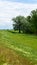 Floodplain forest along the Kettos-Koros river, Bekes - spring in Hungary