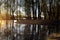 Floodplain forest at sunset with sunbeam and reflecting water surface