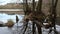 Floodplain forest. Trees growing in water