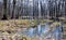 Floodplain forests, Czech Republic, Europe