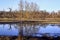 Floodplain forests and meadows flooded by water in spring