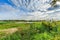 Floodplain forests of willows, Salix alba, Millingerwaard