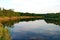 In the floodplain of the Klyazma river