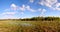 Floodplain meadow