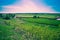 Floodplain meadow in spring