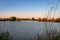 The floodplain near the rain river `the IJssel`