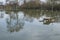 Floods with sunken picnic tables with reflexions near Tewkesbury
