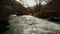 Floody river landscape during the sunset in autumn