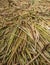 Floor detail of floating Uros island in Lake Titicaca