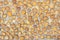 Floor gravel pebble stone on concrete wall background or fence texture made of a close up of medieval stone walls with colorful