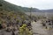 The floor of Kilauea`s Iki Crater lined with cairns and plant life