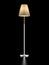 Floor Lamp isolated on a black