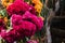 Flor de Terciopelo o Celosia, Mexican Flowers for offerings ofrendas in diÂ­a de muertos Day of the Dead Mexican tradition