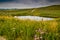 Flora abounds around the ranch. Glenbow Ranch Provincial Recreation Area Alberta Canada