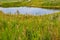 Flora abounds around the ranch. Glenbow Ranch Provincial Recreation Area Alberta Canada