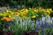 Flora Colourful Floral Background Wild Flower Assortment Flowers Blooming