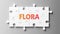 Flora complex like a puzzle - pictured as word Flora on a puzzle pieces to show that Flora can be difficult and needs cooperating
