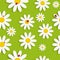 Flora Daisy Seamless Pattern Design Vector