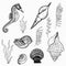 Flora and fauna of the seabed set. Underwater world of the ocean, hand drawn doodle outline. Seaweed, seahorse, shells for logo,