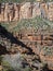 Flora and geology along the base of the Grand Canyon