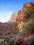 Flora and geology along the base of the Grand Canyon