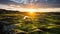 flora moss tundra landscape