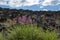 Flora of Mount Etna volcano, blossom of pink Centranthus ruber Valerian or Red valerian, popular garden plant with ornamental