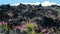 Flora of Mount Etna volcano, blossom of pink Centranthus ruber Valerian or Red valerian, popular garden plant with ornamental