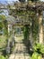 Flora tree and spine walkway path