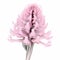Floral 3d Image: Hyper-detailed Hyacinth X-ray Illustration