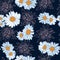 Floral abstract Camomile flowers seamless pattern