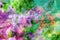 Floral abstract grunge collage backdrop Magenta green cyan