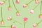 Floral active concept. Collapsing arrangement of random roses falling down against a pastel green background