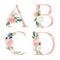 Floral Alphabet Set - letters A, B, C, D, with flowers bouquet composition