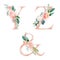 Floral Alphabet Set - letters Y, Z, & ampersand, with flowers bouquet composition