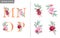 Floral alphabet set with watercolor flowers elements. Letters M, N, O, P with botanical arrangements composition. Flower bouquet