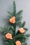 Floral arrangement fir tree sprig rose buds gray