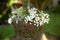 Floral arrangement hanging on a wedding decoration